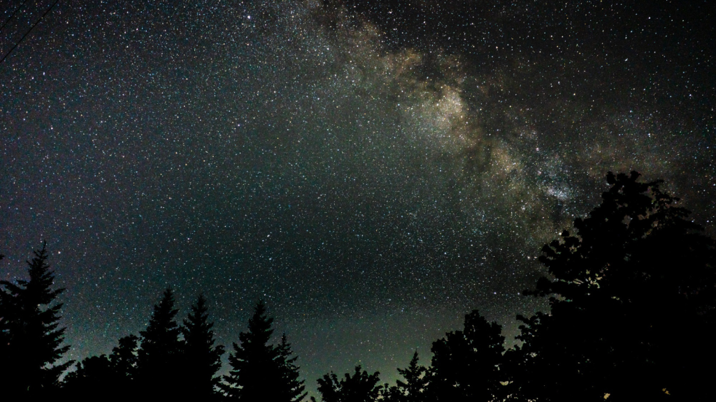 beautiful silhouette shot of trees under a starry night sky