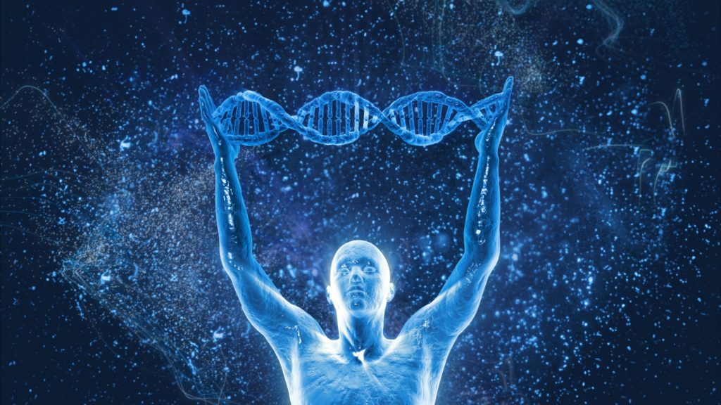 human dna molecules