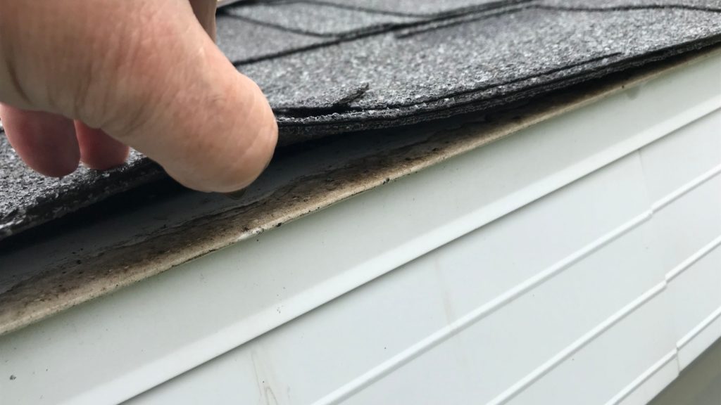 checking roof shingles to avoid debris particles going to the gutter