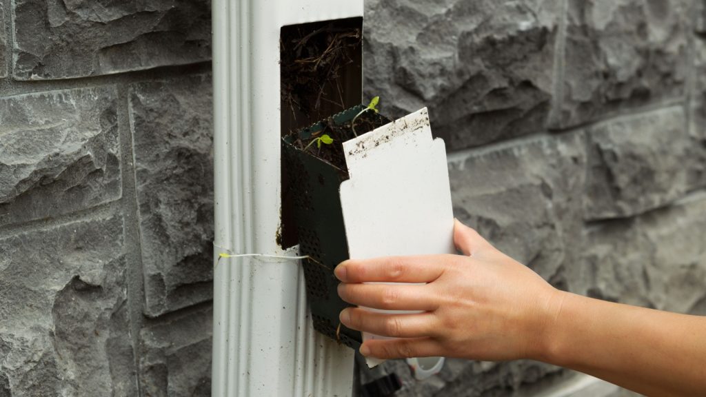 downspout filter for gutter