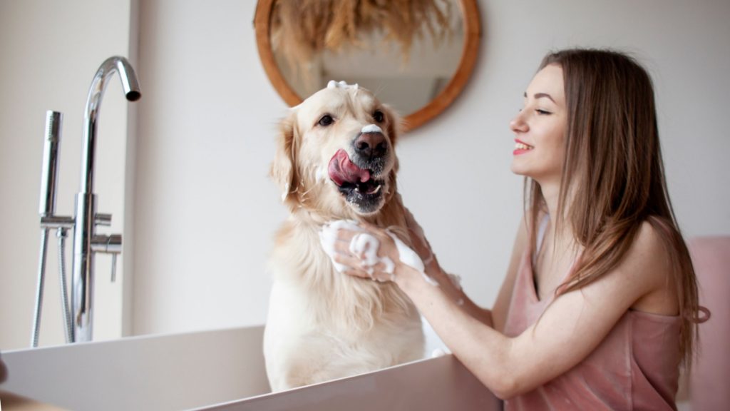 a woman taking the dog a bath