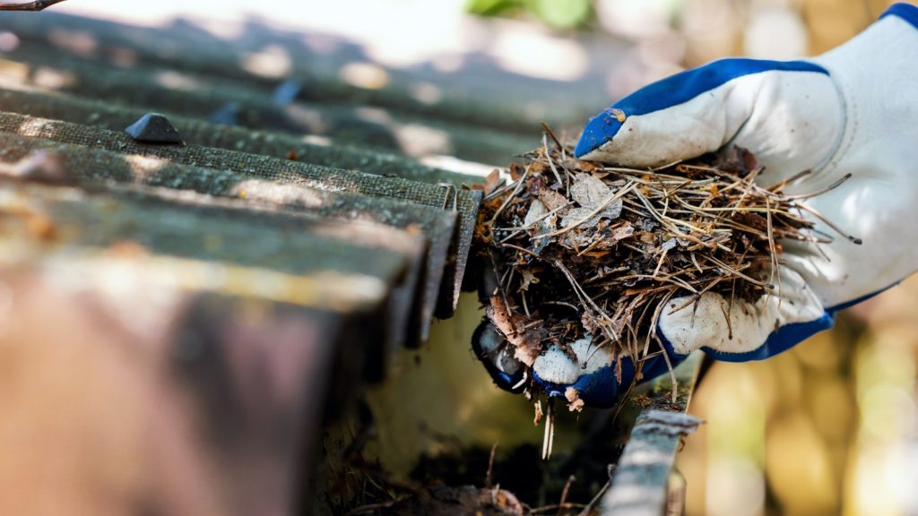 a close-up shot of a hand cleaning the gutter