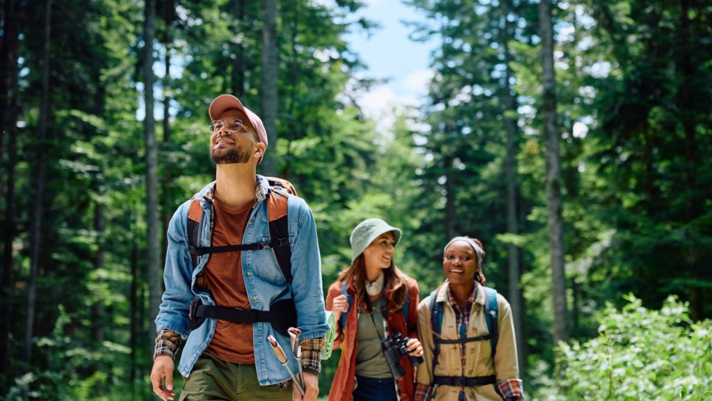 3 poeple on a hike in a forest