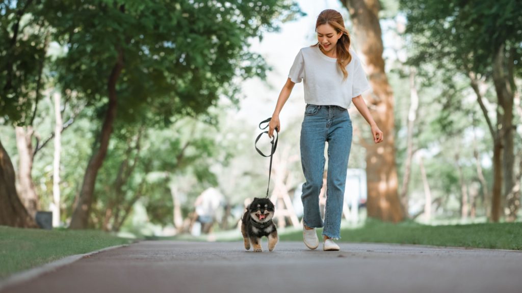 a young woman walking her dog