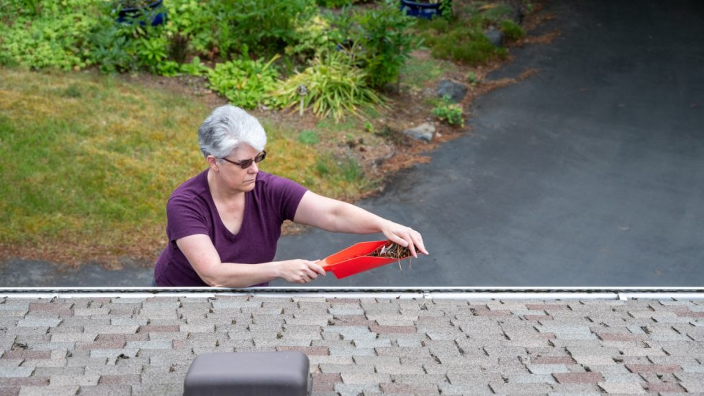 middle aged white woman with gray hair cleaning out pine needles and leaf debris from a roof rain gutter with a red scoop