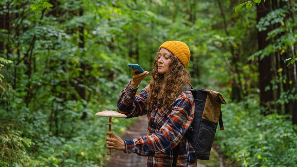 woman taking a picture of a big mushroom she's holding while on a hike