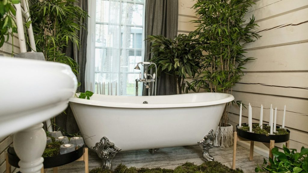 white bathtub with indoor houseplants 