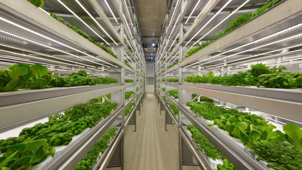 vertical farm in finland