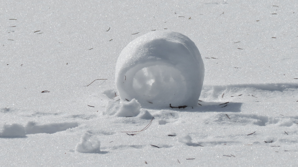 Snow Rollers