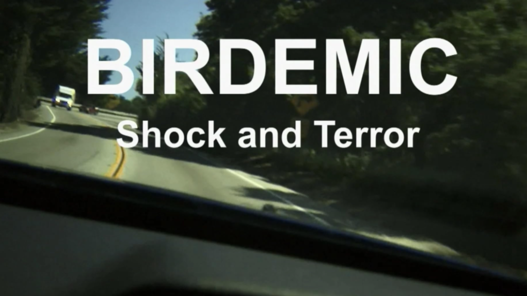 Birdemic: Shock and Terror