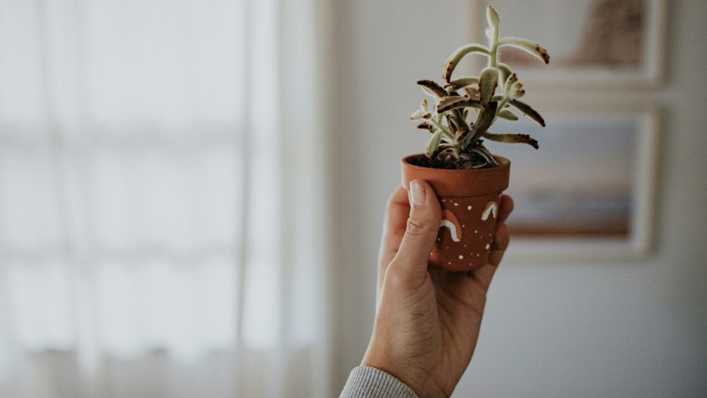 Hand-Painted Plant Pots