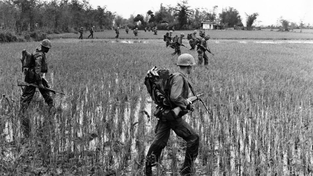 Marines cross rice paddy