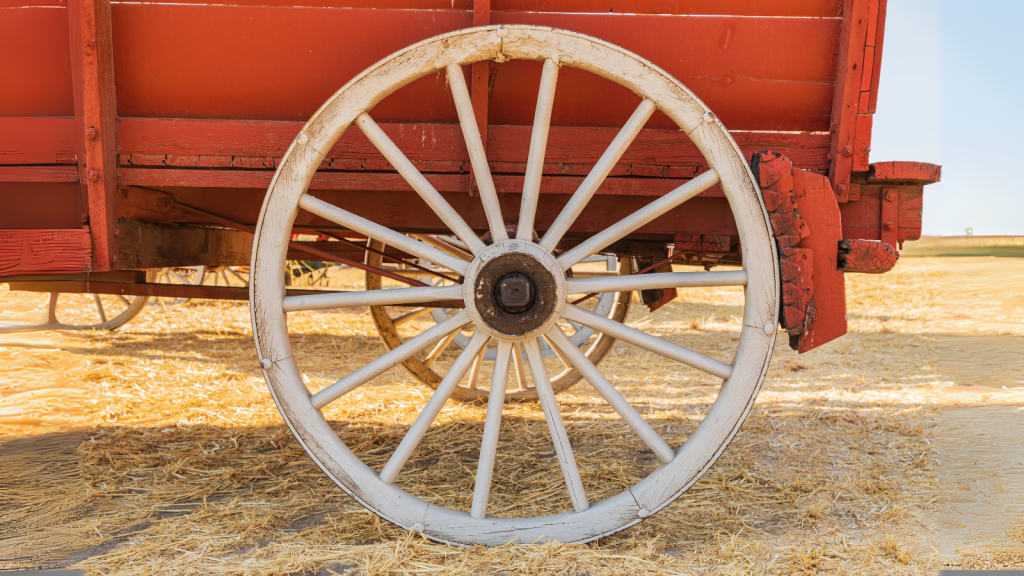 Wagon wheel and spokes